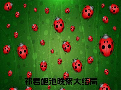 祁君昶池晚絮小说（祁君昶池晚絮）全文免费阅读无弹窗大结局_祁君昶池晚絮小说最新章节列表_笔趣阁（祁君昶池晚絮）