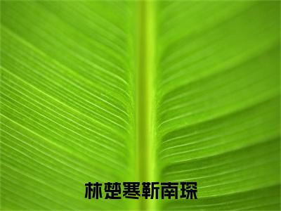 林楚寒靳南琛结局_林楚寒靳南琛最新章节列表_笔趣阁
