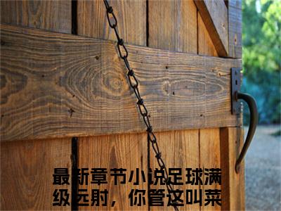 叶辰丽娜最新章节（足球满级远射，你管这叫菜鸟）全文免费阅读无弹窗大结局_叶辰丽娜免费阅读（足球满级远射，你管这叫菜鸟）