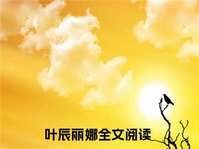 叶辰丽娜（足球满级远射，你管这叫菜鸟）全文无弹窗阅读-叶辰丽娜（足球满级远射，你管这叫菜鸟）最新章节完整版阅读