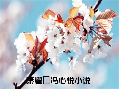 秦耀璟冯心悦阅读无弹窗大结局_（秦耀璟冯心悦阅读无弹窗）最新章节列表_笔趣阁（秦耀璟冯心悦）