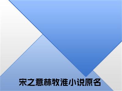 宋之意林牧淮无删版小说阅读-宋之意林牧淮全文无弹窗试读