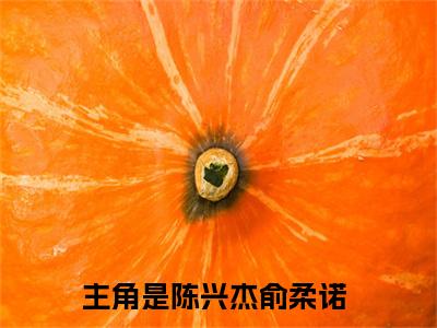 陈兴杰俞柔诺全文免费阅读-陈兴杰俞柔诺小说（陈兴杰俞柔诺）免费阅读全文