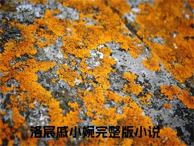 洛宸戚小婉（洛宸戚小婉）小说-洛宸戚小婉小说免费最新章节列表