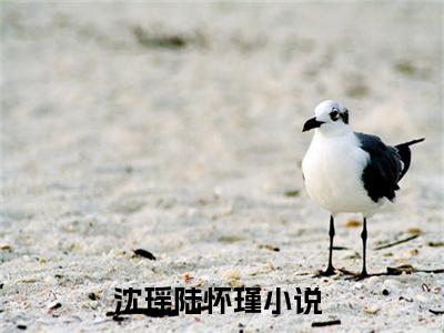 沈瑶陆怀瑾近期热推小说-沈瑶陆怀瑾小说精彩阅读