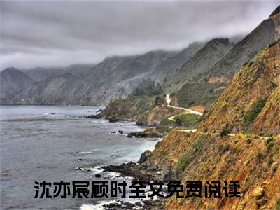 沈亦宸顾时(沈亦宸顾时)全文免费阅读无弹窗大结局_沈亦宸顾时