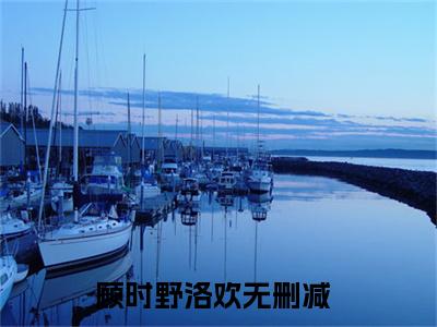 顾时野洛欢（顾时野洛欢）小说全文免费阅读无弹窗-顾时野洛欢小说全文免费阅读最新章节列表笔趣阁