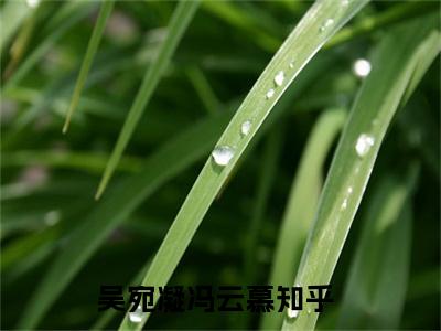 吴宛凝冯云慕（吴宛凝冯云慕全文免费）小说全文免费阅读无弹窗大结局_(吴宛凝冯云慕免费阅读）吴宛凝冯云慕最新章节列表_笔趣阁（吴宛凝冯云慕）