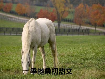 高赞热文季樾桑初完整版阅读-季樾桑初爆款免费小说阅读无弹窗