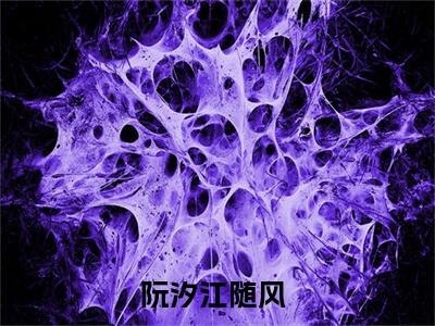 【新书】阮汐江随风全文全章节免费阅读-阮汐江随风 全文免费阅读无弹窗大结局