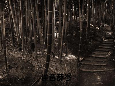 许莓薛岑榜单小说全文免费阅读无弹窗大结局-许莓薛岑全文在线阅读
