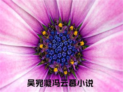 吴宛凝冯云慕高赞小说完结阅读（吴宛凝冯云慕全文免费阅读）_吴宛凝冯云慕全文免费阅读