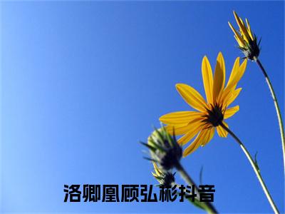 洛卿凰顾弘彬(洛卿凰顾弘彬)全文免费阅读无弹窗大结局_(洛卿凰顾弘彬小说全文大结局)最新章节列表_笔趣阁（洛卿凰顾弘彬）