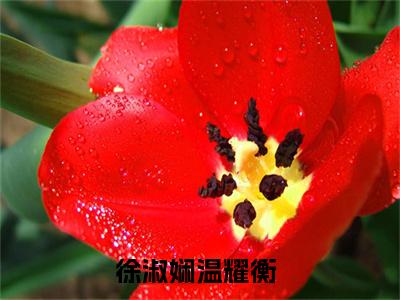 徐淑娴温耀衡热门小说（徐淑娴温耀衡）最新章节阅读-徐淑娴温耀衡小说最后结局如何