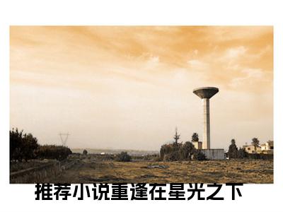 主人公叫（厉云山祝星语）的小说（重逢在星光之下）全文免费阅读最新章节列表_笔趣阁
