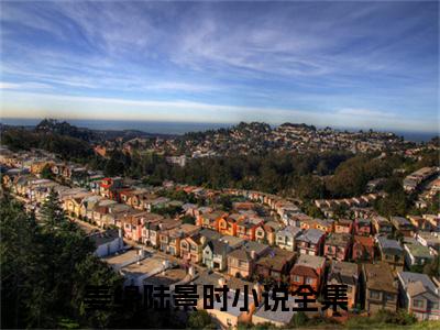 姜绵陆景时小说(姜绵陆景时)_全章节小说完整版阅读（姜绵陆景时）
