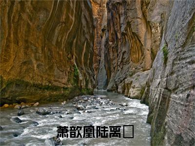 萧歆凰陆离璟全文免费阅读无弹窗大结局_（萧歆凰陆离璟小说）萧歆凰陆离璟在线免费阅读