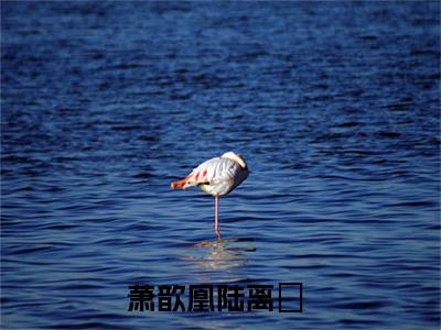 萧歆凰陆离璟知乎小说精彩章节免费阅读-萧歆凰陆离璟无删减热文推荐阅读