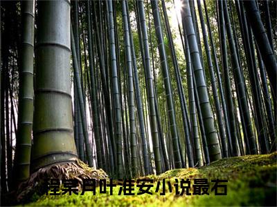 程棠月叶淮安(程棠月叶淮安)全文免费阅读无弹窗大结局-程棠月叶淮安求书热文免费阅读