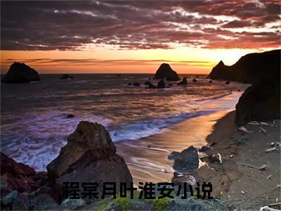 程棠月叶淮安无广告小说正版在线阅读,程棠月叶淮安全文在线阅读大结局