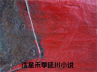 沈星禾季延川（沈星禾季延川）热门小说在哪免费看-沈星禾季延川小说全章节阅读