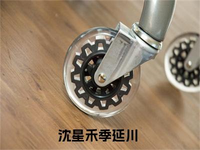 沈星禾季延川今日阅读更新-（沈星禾季延川）全文免费阅读-沈星禾季延川