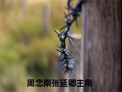周念南张延卿全文（周念南张延卿）抖音热推小说全集无删减_周念南张延卿免费最新章节列表_笔趣阁