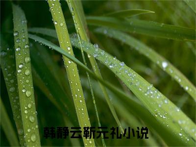 韩静云靳元礼(韩静云靳元礼)全文免费阅读无弹窗_(韩静云靳元礼)韩静云靳元礼最新章节列表笔趣阁（韩静云靳元礼）