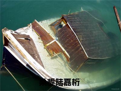桑栀陆嘉桁精彩小说（桑栀陆嘉桁）阅读大结局 桑栀陆嘉桁免费版小说更新阅读_笔趣阁