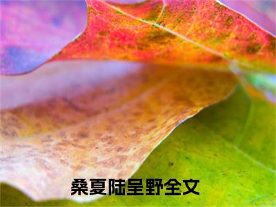 桑夏陆呈野(桑夏陆呈野)全文免费阅读_桑夏陆呈野（桑夏陆呈野在线小说免费阅读）全文阅读