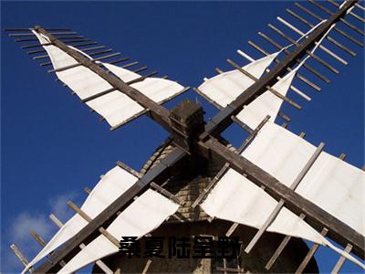 桑夏陆呈野小说已完结（桑夏陆呈野）全文免费阅读无弹窗大结局_桑夏陆呈野最新章节列表（桑夏陆呈野）