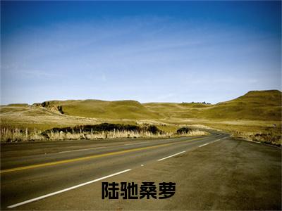 陆驰桑萝（陆驰桑萝）小说全文免费阅读无弹窗大结局_（陆驰桑萝）小说全文免费阅读最新章节列表笔趣阁