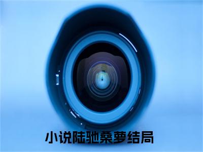 陆驰桑萝（陆驰桑萝）全文免费阅读无弹窗大结局_(陆驰桑萝免费阅读)最新章节列表_笔趣阁