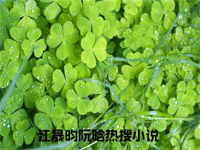 江晟昀阮晗精彩章节免费阅读_江晟昀阮晗抖音热推小说最新章节阅读