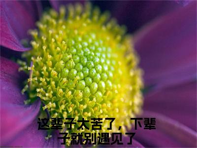 这辈子太苦了，下辈子就别遇见了小说免费下载（这辈子太苦了，下辈子就别遇见了完整全集已完结大结局小说）_秦婉清林觉予免费阅读笔趣阁