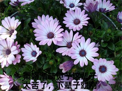 秦婉清林觉予（这辈子太苦了，下辈子就别遇见了）火热新书无弹窗大结局_（秦婉清林觉予）这辈子太苦了，下辈子就别遇见了最新章节列表_笔趣阁