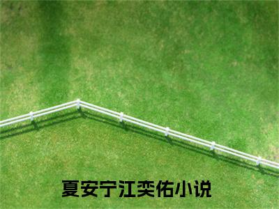 夏安宁江奕佑在线全文免费阅读夏安宁江奕佑是主角的小说