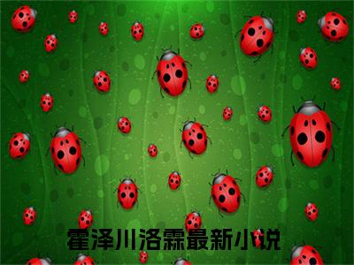【新书】霍泽川洛霖全文全章节免费阅读-霍泽川洛霖 全文免费阅读无弹窗大结局