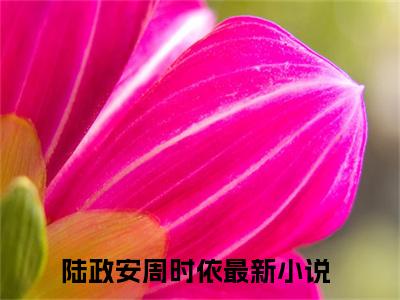 陆政安周时依小说（陆政安周时依）全文免费阅读无弹窗大结局_陆政安周时依最新章节列表_笔趣阁