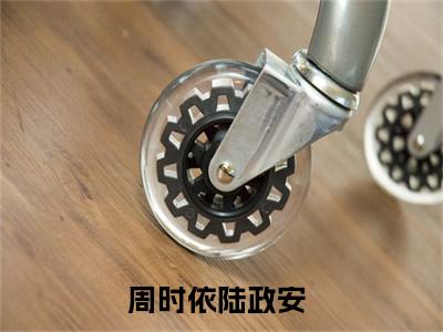 周时依陆政安小说全文免费阅读无弹窗-正版小说全文阅读