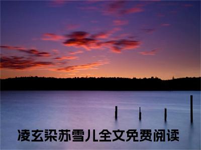 凌玄染苏雪儿（凌玄染苏雪儿）全文免费阅读_凌玄染苏雪儿最新章节列表_笔趣阁