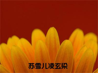 (苏雪儿凌玄染)小说免费阅读无弹窗_（苏雪儿凌玄染免费阅读）苏雪儿凌玄染小说最新章节列表_笔趣阁（苏雪儿凌玄染下载）