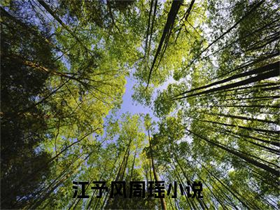 江予风周瑶全文免费在线阅读_（江予风周瑶免费阅读无弹窗）江予风周瑶全文免费完结版阅读（江予风周瑶）