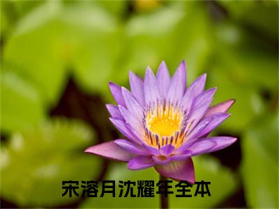 宋溶月沈耀年全文免费在线阅读_（宋溶月沈耀年免费阅读无弹窗）宋溶月沈耀年全文免费完结版阅读（宋溶月沈耀年）