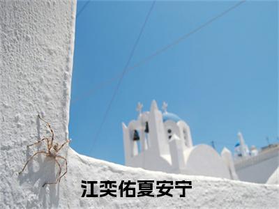 江奕佑夏安宁的书名全文免费 江奕佑夏安宁在线阅读小说免费阅读