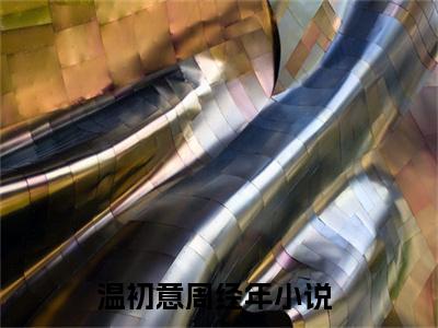 温初意周经年（温初意周经年）小说全文免费阅读无弹窗大结局_温初意周经年（温初意周经年无弹窗）最新章节列表笔趣阁（温初意周经年）