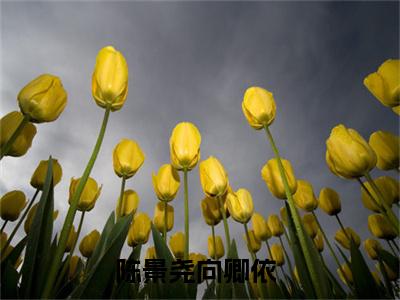 私藏读物《陈景尧向卿依》小说全文免费阅读-微小说（陈景尧向卿依）完整版阅读