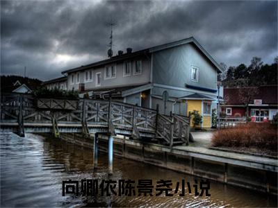向卿依陈景尧（向卿依陈景尧）全文免费阅读无弹窗大结局_向卿依陈景尧完本小说最新章节阅读