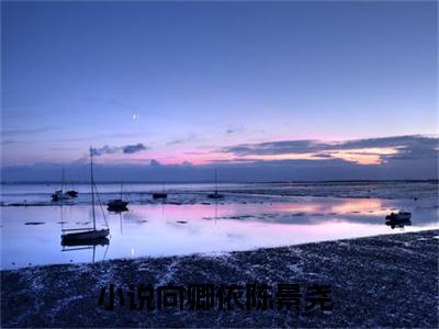 向卿依陈景尧（向卿依陈景尧小说）在线阅读全文-向卿依陈景尧小说免费阅读完结版全文