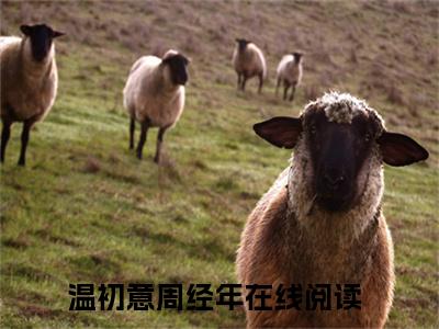 温初意周经年免费阅读（温初意周经年）全文免费阅读无弹窗大结局_温初意周经年免费阅读最新章节列表_笔趣阁（温初意周经年）